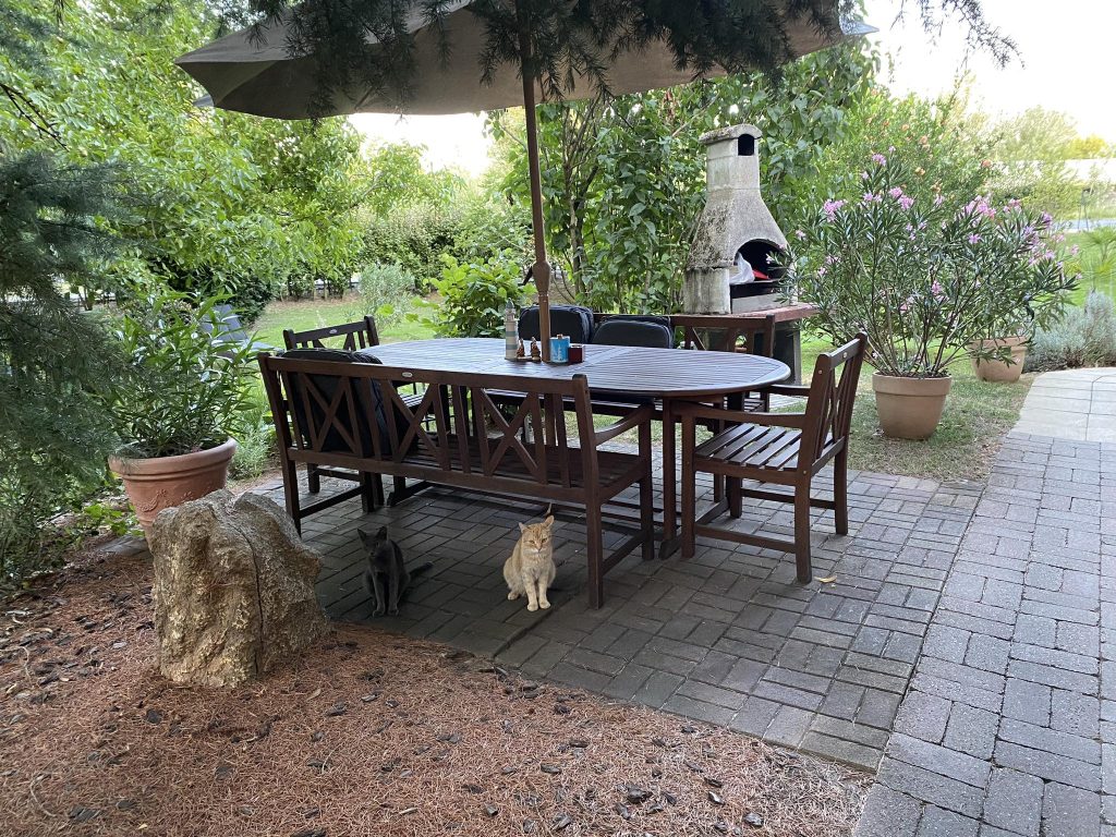 Önismereti alkalom — közös munka